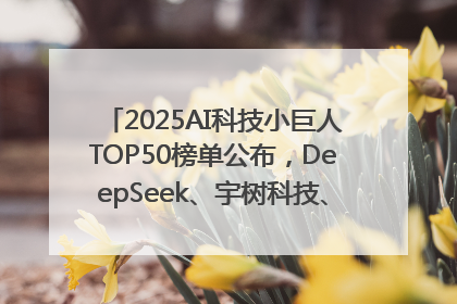 2025AI科技小巨人TOP50榜单公布，DeepSeek、宇树科技、蘑菇车联等企业荣誉上榜