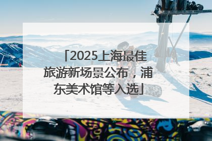 2025上海最佳旅游新场景公布，浦东美术馆等入选