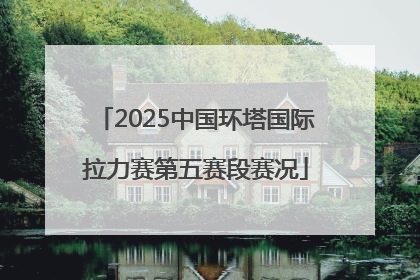 2025中国环塔国际拉力赛第五赛段赛况