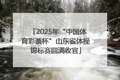 2025年“中国体育彩票杯”山东省体操锦标赛圆满收官