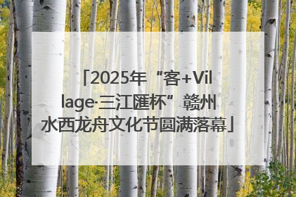 2025年“客+Village·三江匯杯”赣州水西龙舟文化节圆满落幕