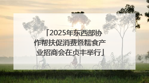 2025年东西部协作帮扶促消费暨糯食产业招商会在贞丰举行