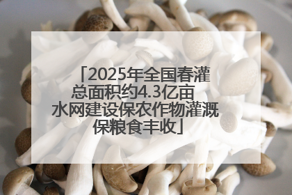 2025年全国春灌总面积约4.3亿亩 水网建设保农作物灌溉 保粮食丰收