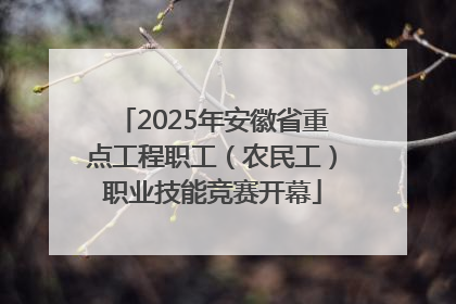 2025年安徽省重点工程职工（农民工）职业技能竞赛开幕