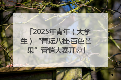 2025年青年（大学生）“青耘八桂·百色芒果”营销大赛开幕