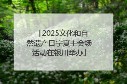 2025文化和自然遗产日宁夏主会场活动在银川举办