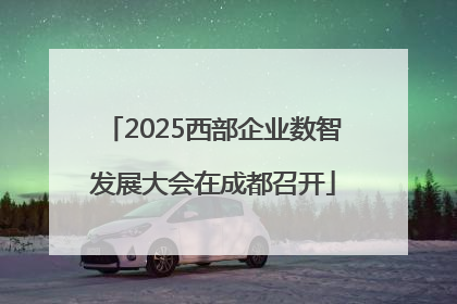2025西部企业数智发展大会在成都召开