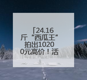 24.16斤“西瓜王”拍出10200元高价！活动方称将注入助学基金