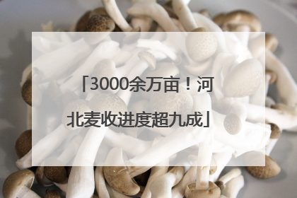 3000余万亩！河北麦收进度超九成