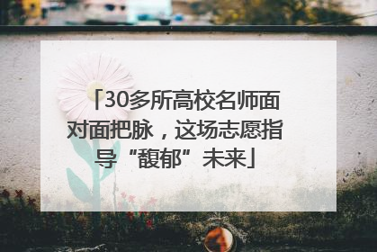 30多所高校名师面对面把脉，这场志愿指导“馥郁”未来