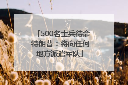 500名士兵待命 特朗普：将向任何地方派遣军队