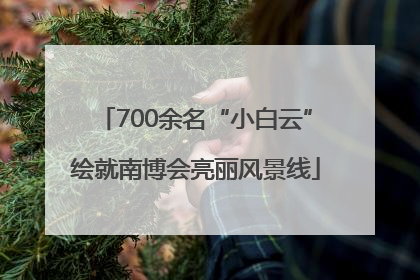 700余名“小白云”绘就南博会亮丽风景线