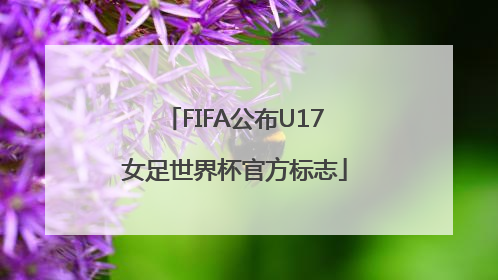 FIFA公布U17女足世界杯官方标志