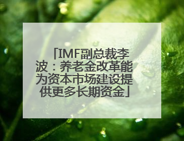 IMF副总裁李波：养老金改革能为资本市场建设提供更多长期资金